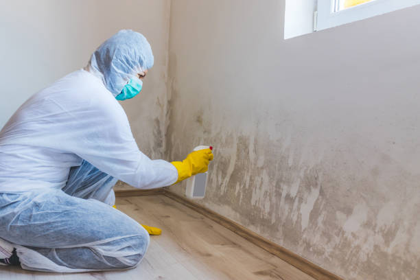 Licensed Commercial Mold Remediation service in McLean, VA - WQB Mold Removal