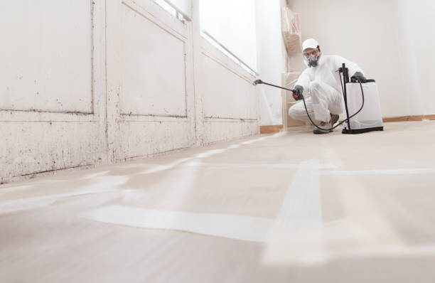 24/7 Emergency Commercial Mold Remediation experts in McLean, VA