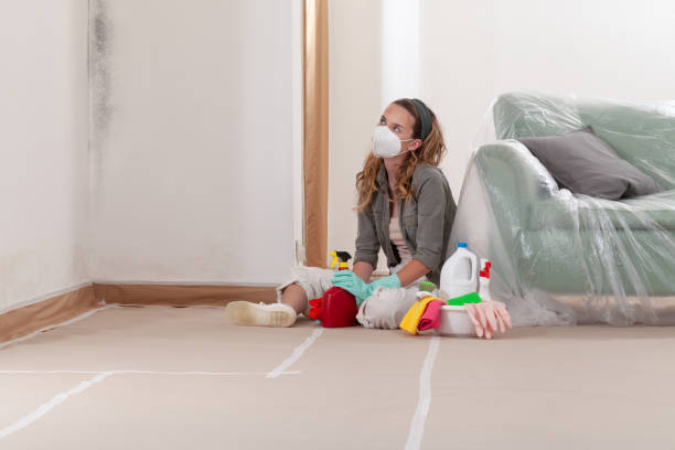 Reliable Commercial Mold Remediation contractor in McLean, VA by WQB Mold Removal