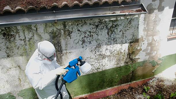 Top rated local Commercial Mold Remediation specialists in McLean, VA